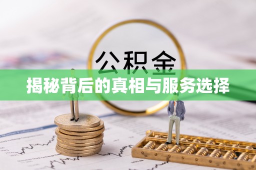 宝山揭秘背后的真相与服务选择