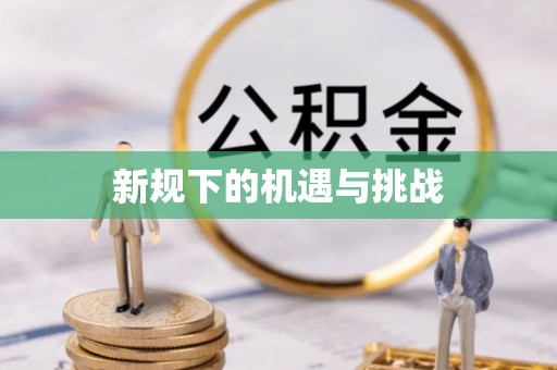 宝山新规下的机遇与挑战