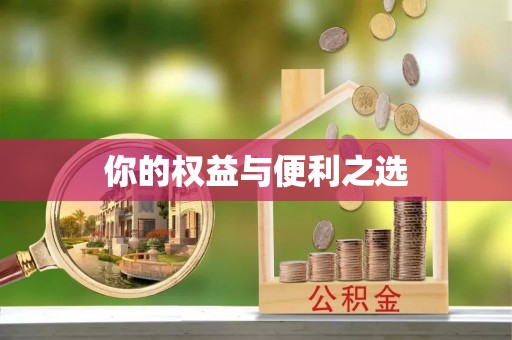 宝山你的权益与便利之选