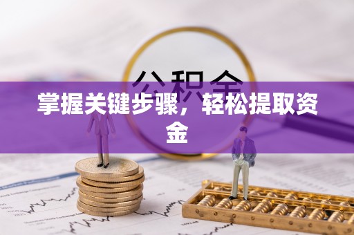 宝山掌握关键步骤，轻松提取资金