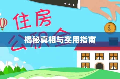 宝山揭秘真相与实用指南