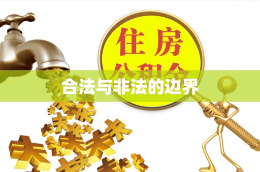 宝山合法与非法的边界