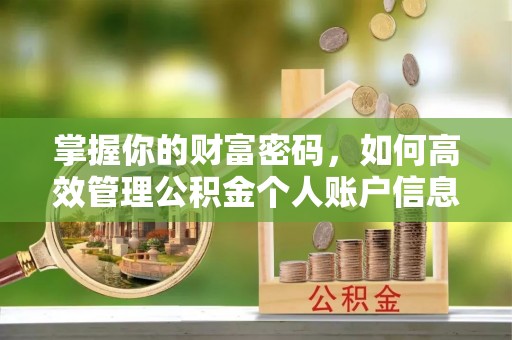 宝山掌握你的财富密码，如何高效管理公积金个人账户信息