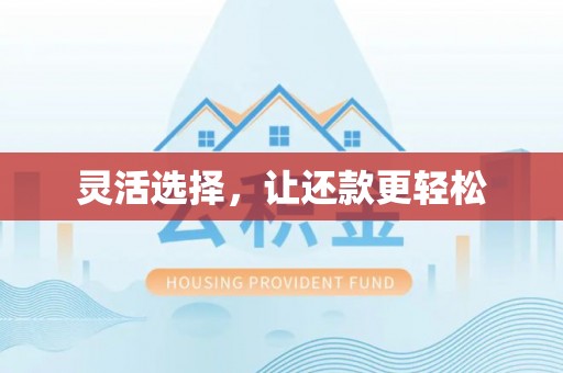 宝山灵活选择，让还款更轻松