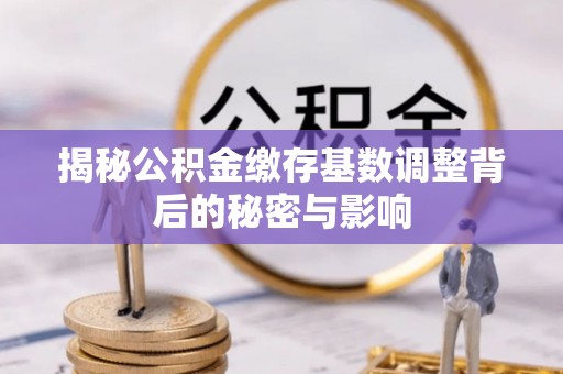 宝山揭秘公积金缴存基数调整背后的秘密与影响