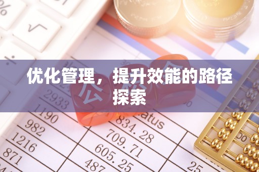 宝山优化管理，提升效能的路径探索