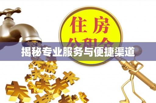 宝山揭秘专业服务与便捷渠道