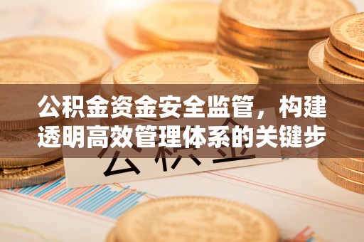 宝山公积金资金安全监管，构建透明高效管理体系的关键步骤