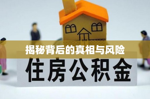 宝山揭秘背后的真相与风险
