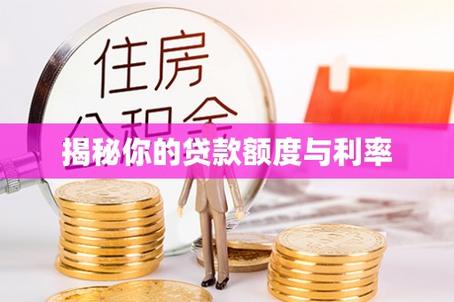 宝山揭秘你的贷款额度与利率