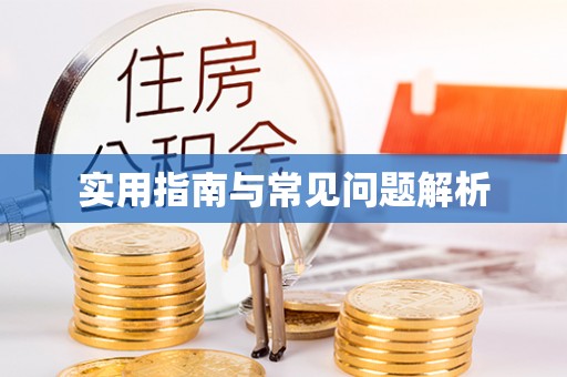 宝山实用指南与常见问题解析