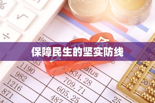宝山保障民生的坚实防线