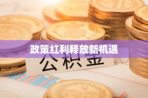 宝山政策红利释放新机遇