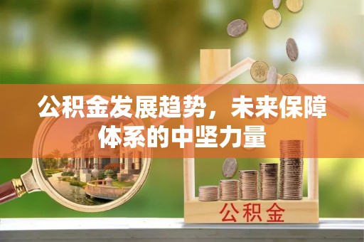 宝山公积金发展趋势，未来保障体系的中坚力量