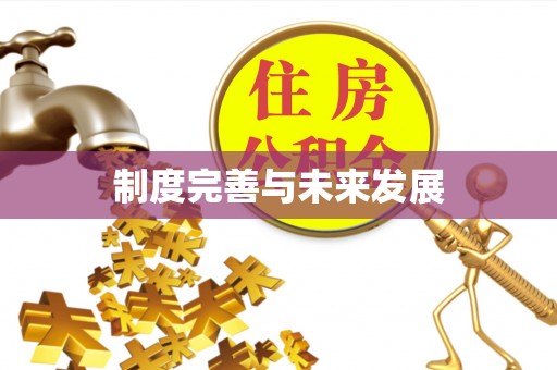 宝山制度完善与未来发展