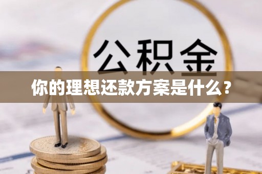 宝山你的理想还款方案是什么？