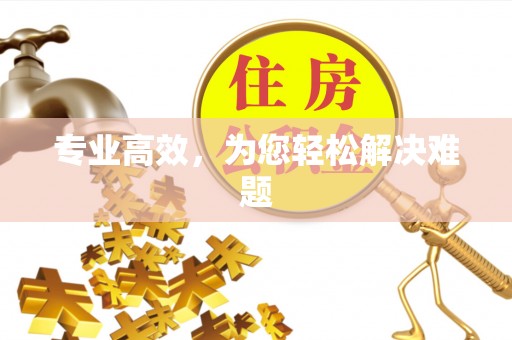 宝山专业高效，为您轻松解决难题