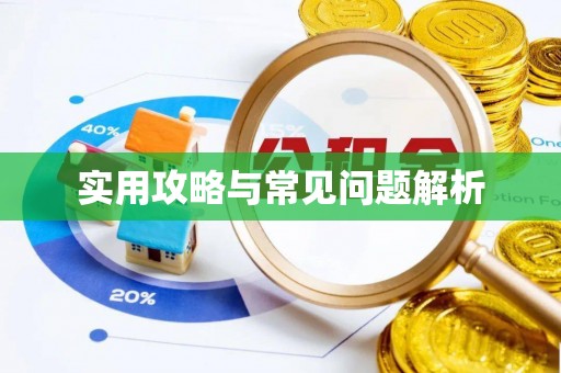 宝山实用攻略与常见问题解析