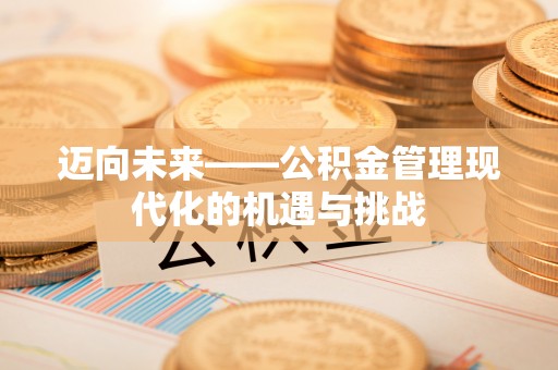 宝山迈向未来——公积金管理现代化的机遇与挑战