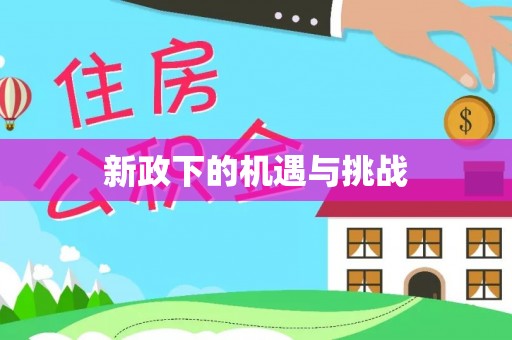 宝山新政下的机遇与挑战