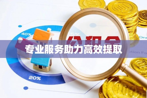 宝山专业服务助力高效提取
