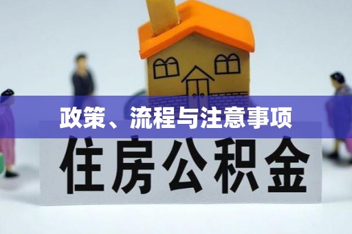 宝山政策、流程与注意事项