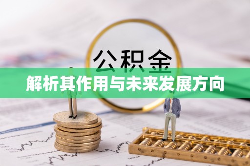 宝山解析其作用与未来发展方向