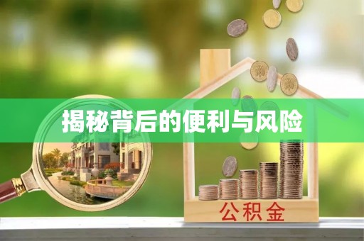 宝山揭秘背后的便利与风险