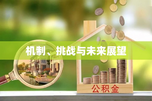 宝山机制、挑战与未来展望